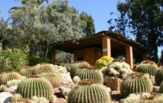 jardin-tropical-pinya-rosa-