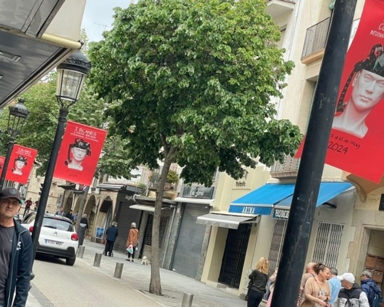 Cartells 2024