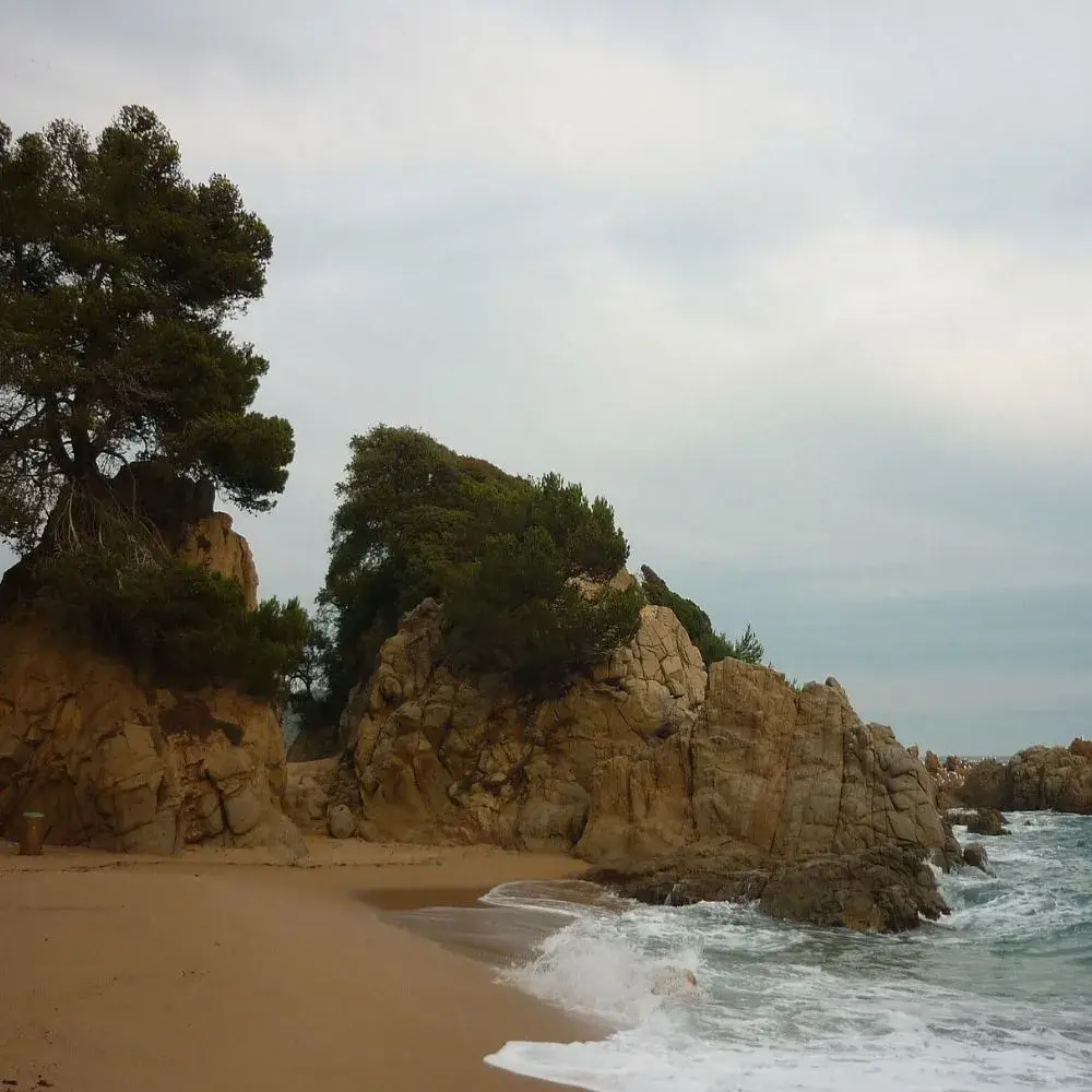 Cala Treumal Blanes