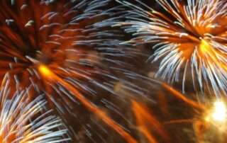 Fuegos artificiales Blanes