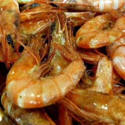 gambes de Blanes