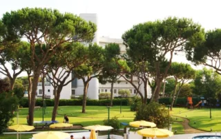 jardi i piscina Hotel Blanes
