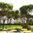 jardi i piscina Hotel Blanes