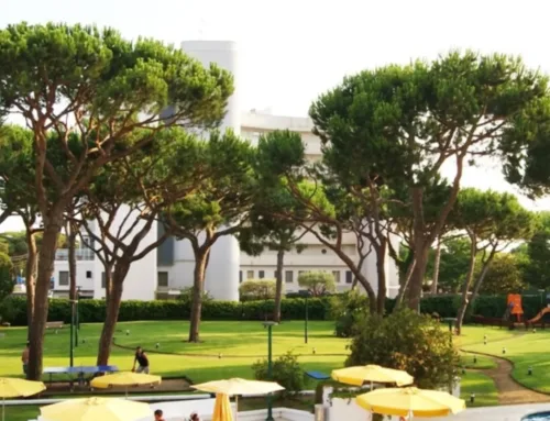 Nuestro oasis verde: descubre la magia del jardín del Beverly