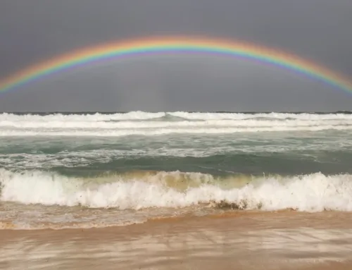 ¿Qué hacer en Blanes cuando llueve?